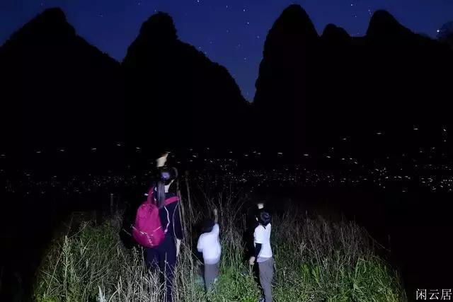 逃离仿真森林