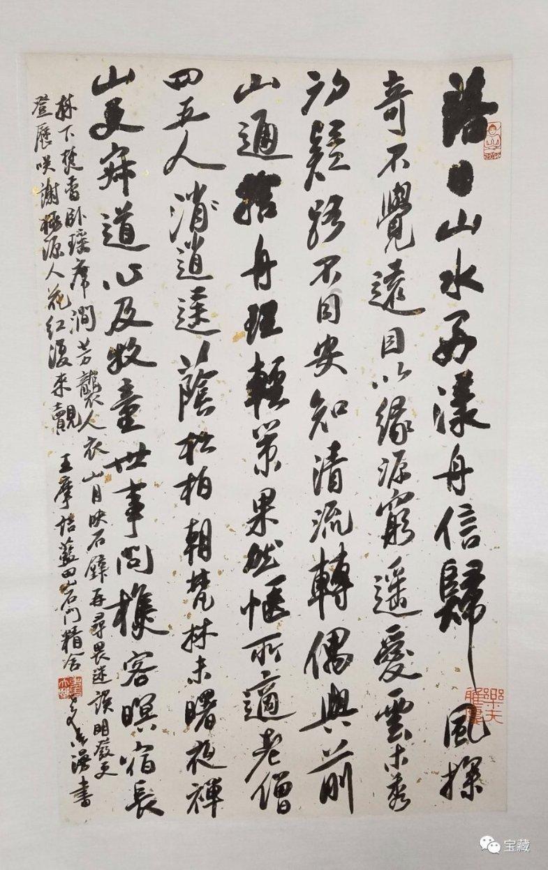 解救野生狐狸