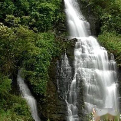 规上工业增加值增幅列哈尔滨九县(市)第一,大米产业向千亿级进发 五常,聚力成势发展向新