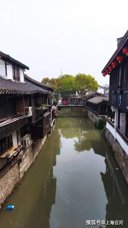 荆棘王座