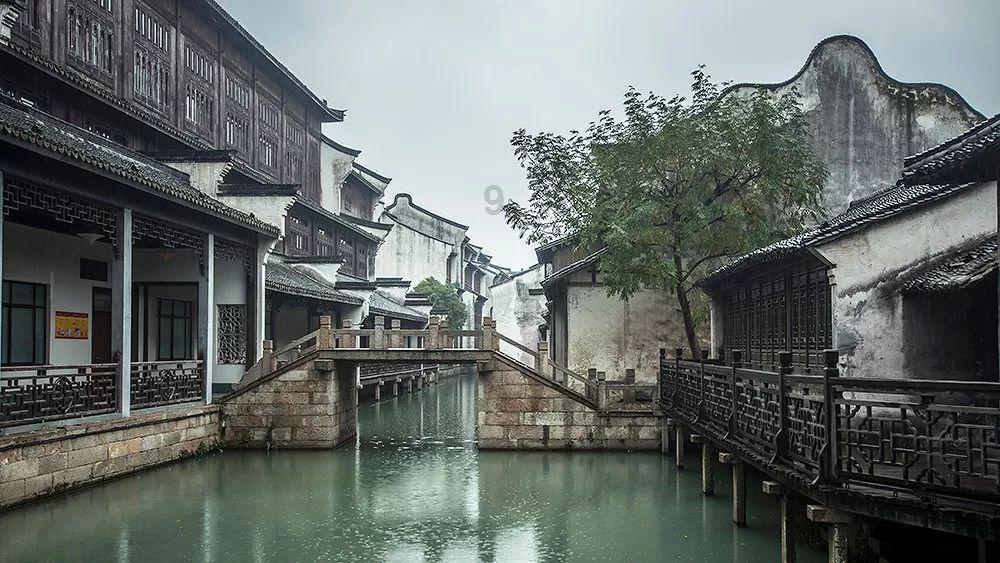说一说为什么爱狗人士变成贬义词了?-专业知识问答网页,快速解答您的疑问